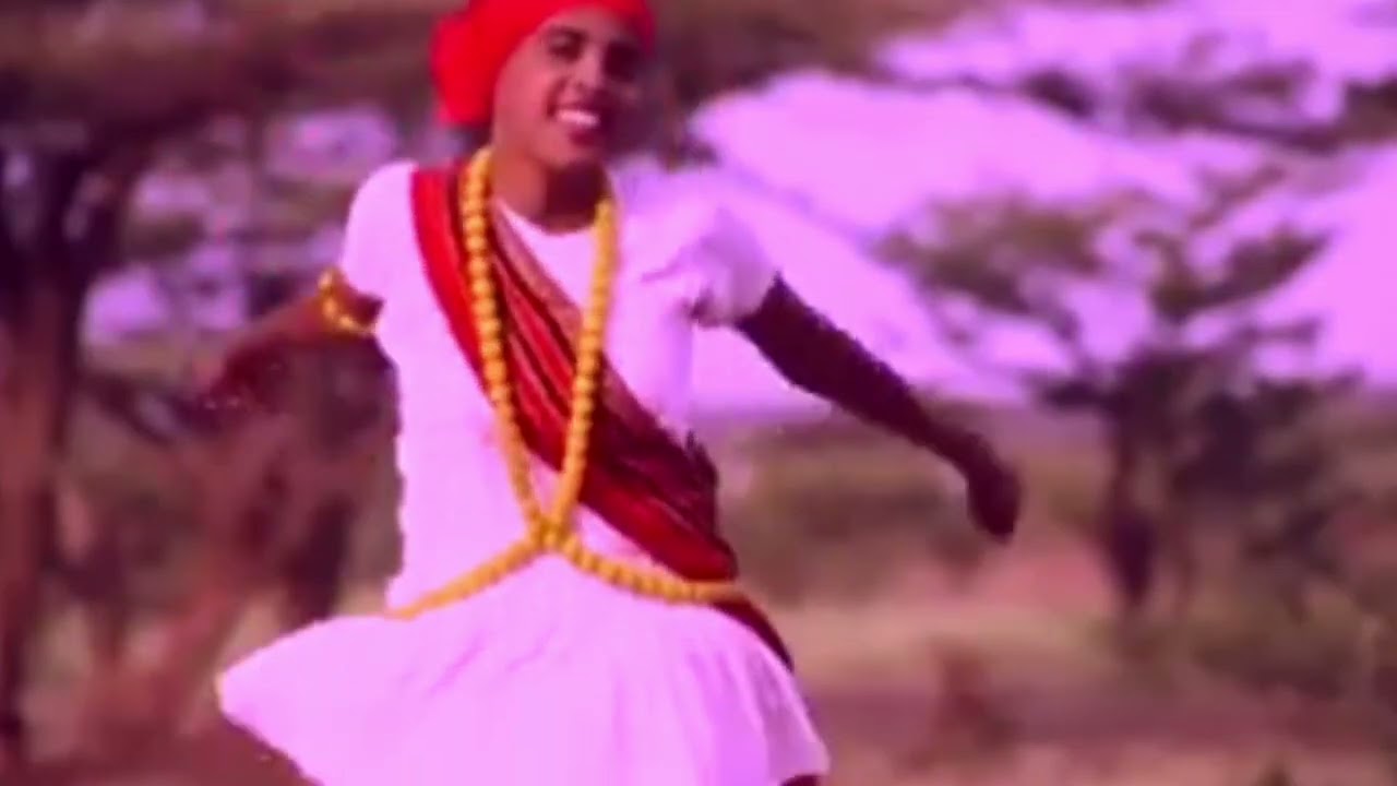 dhullka meel doog lahoo gelo udhay dhayda iyo gadhuudh ka kay wada dhanee wowo