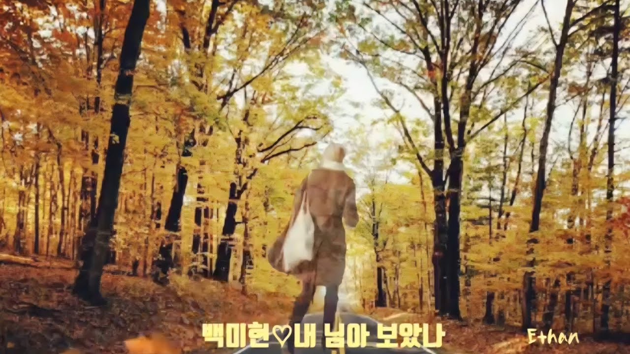 🎈백미현의 '내님아 보았나'