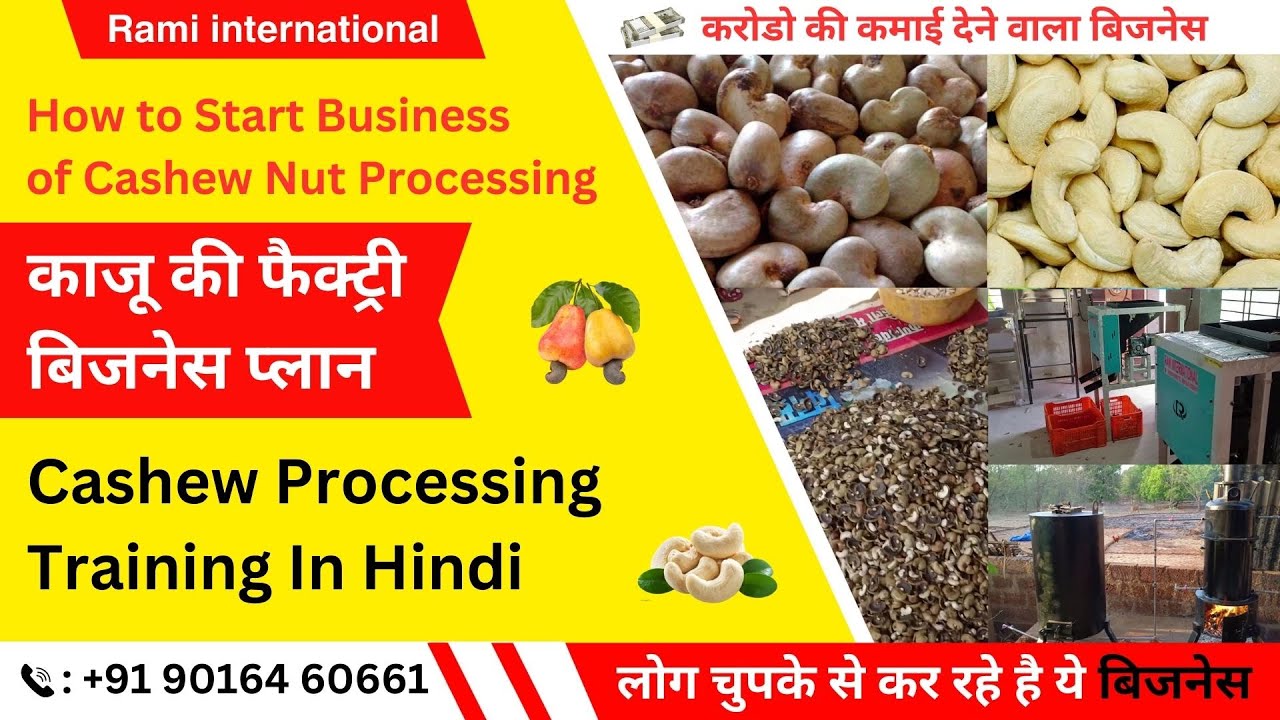 Cashew Processing Unit | Cashew Processing Factory 😍 Cashew Processing Training In Hindi 📞9016460661