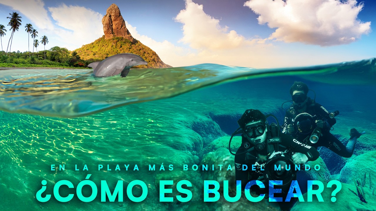 ¿Cómo es Bucear? 🤿 | La Playa MÁS HERMOSA DEL MUNDO 🏝️, Fernando de Noronha, Brasil 🇧🇷📍