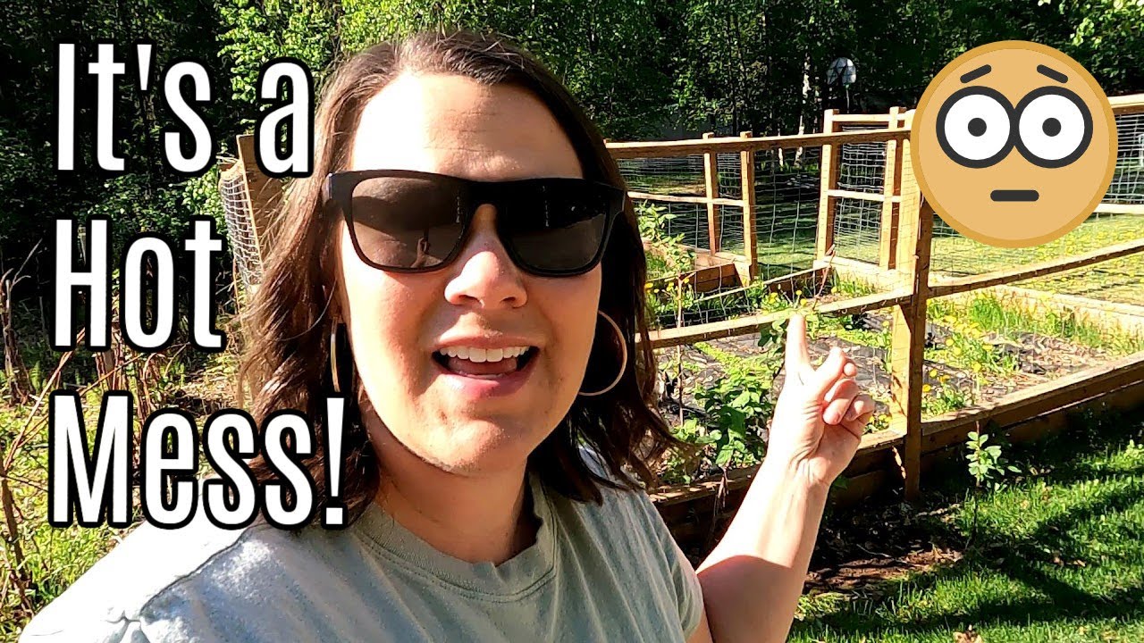 Can I Revive My Garden?? | Plant With Me Alaska Garden 2022