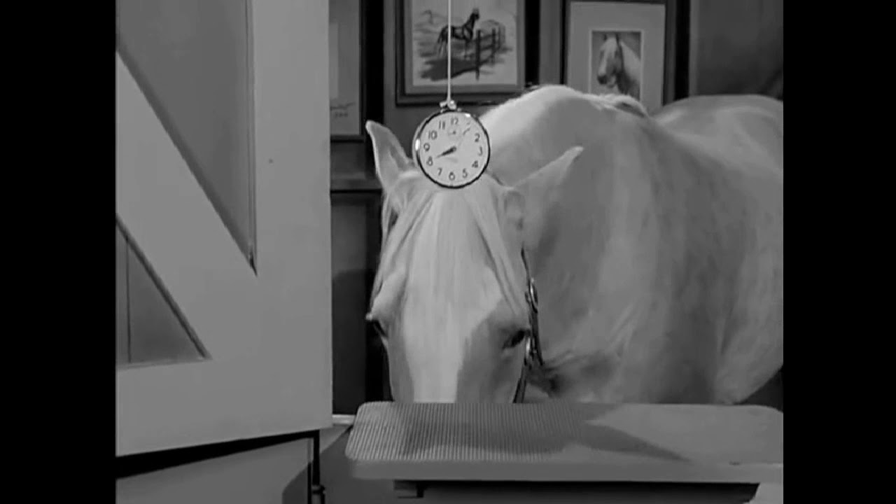 Tiny Time Mister ED song video