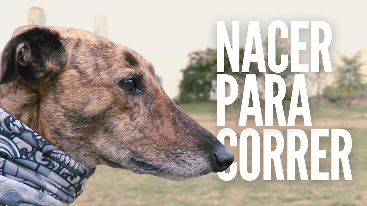 DOCUMENTAL 