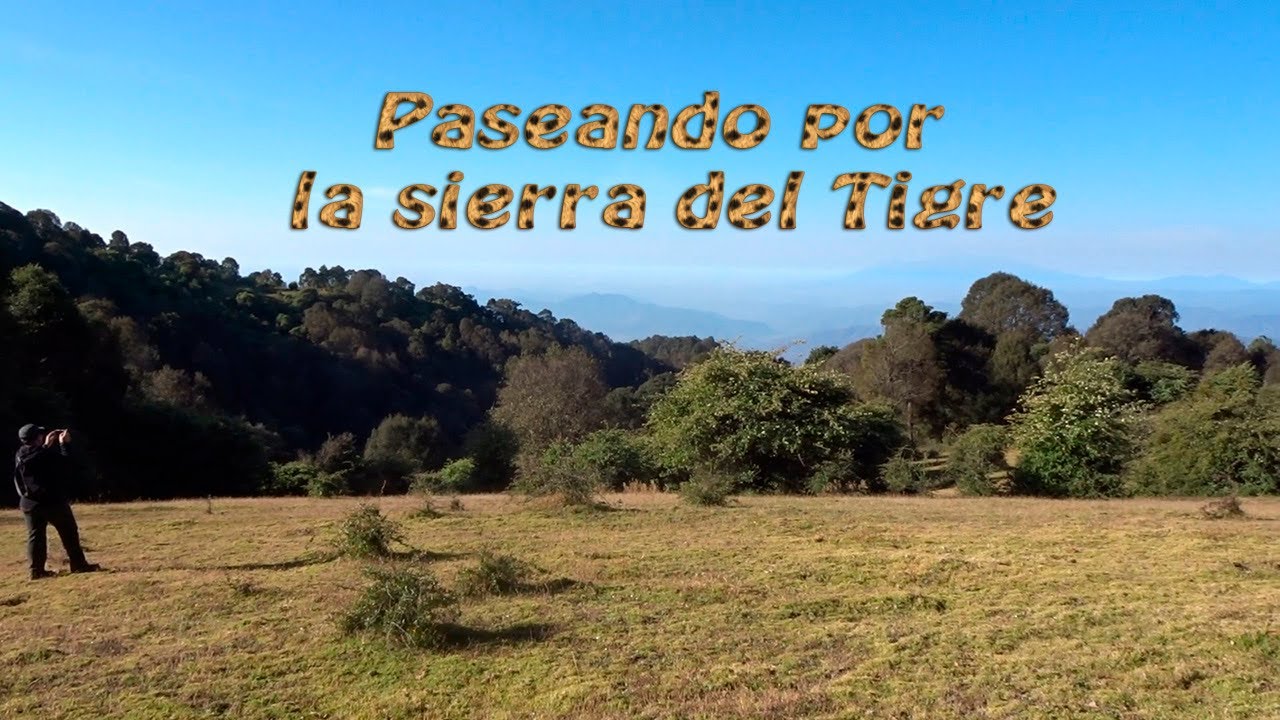 Paseo por la sierra del Tigre