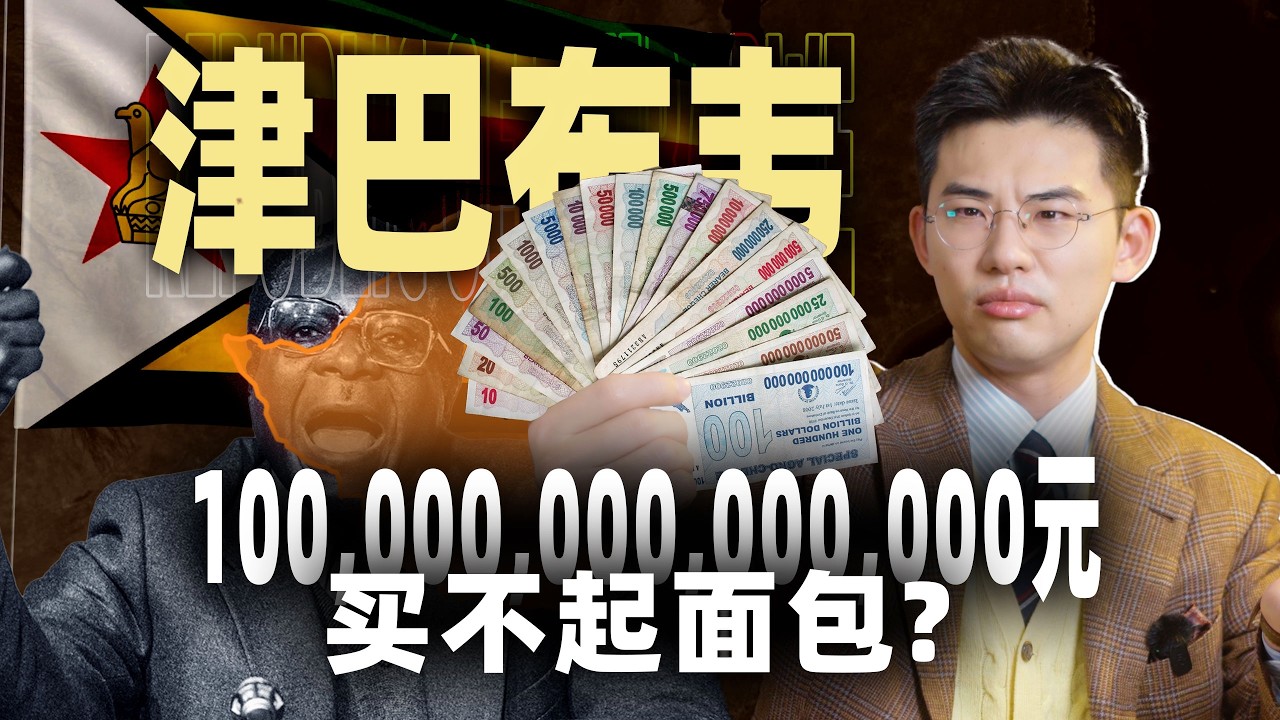 民族英雄成独裁者，纸币成冥币，经济要怎么收场？【南非03丨津巴布韦】