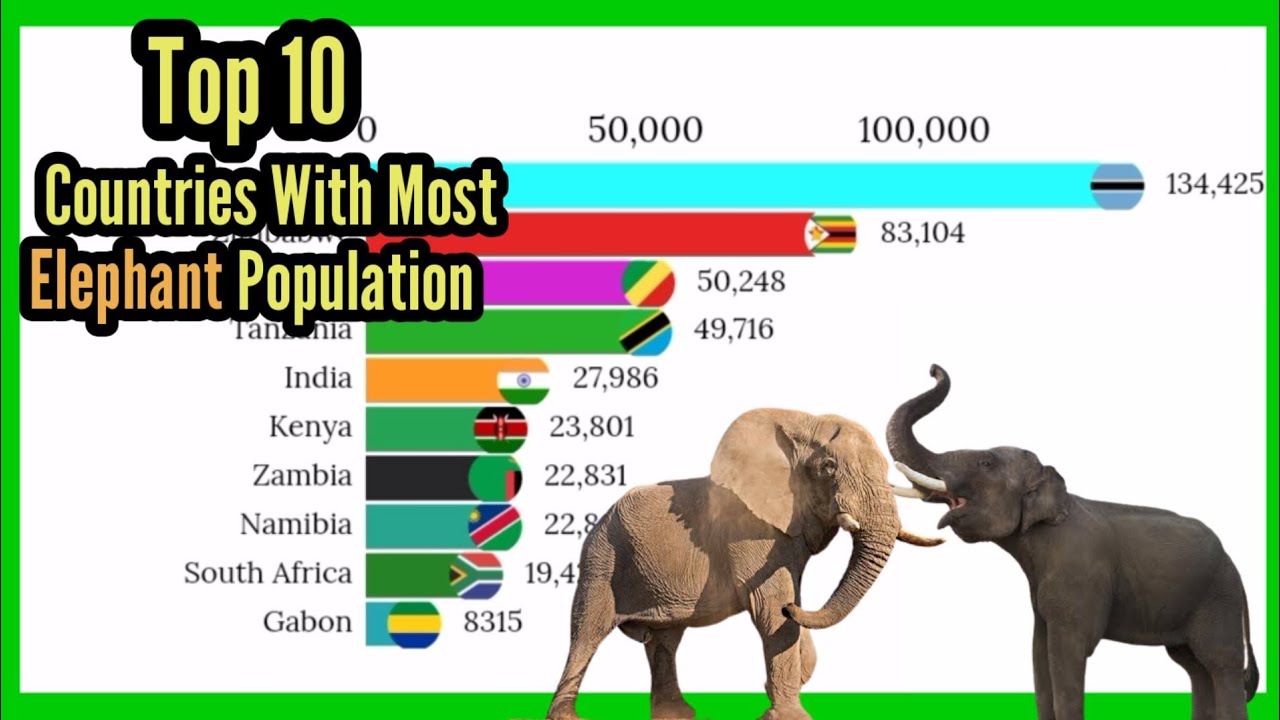 Elephant - Top 10 countries with most elephant population (1980-2021) | Mobile Craft