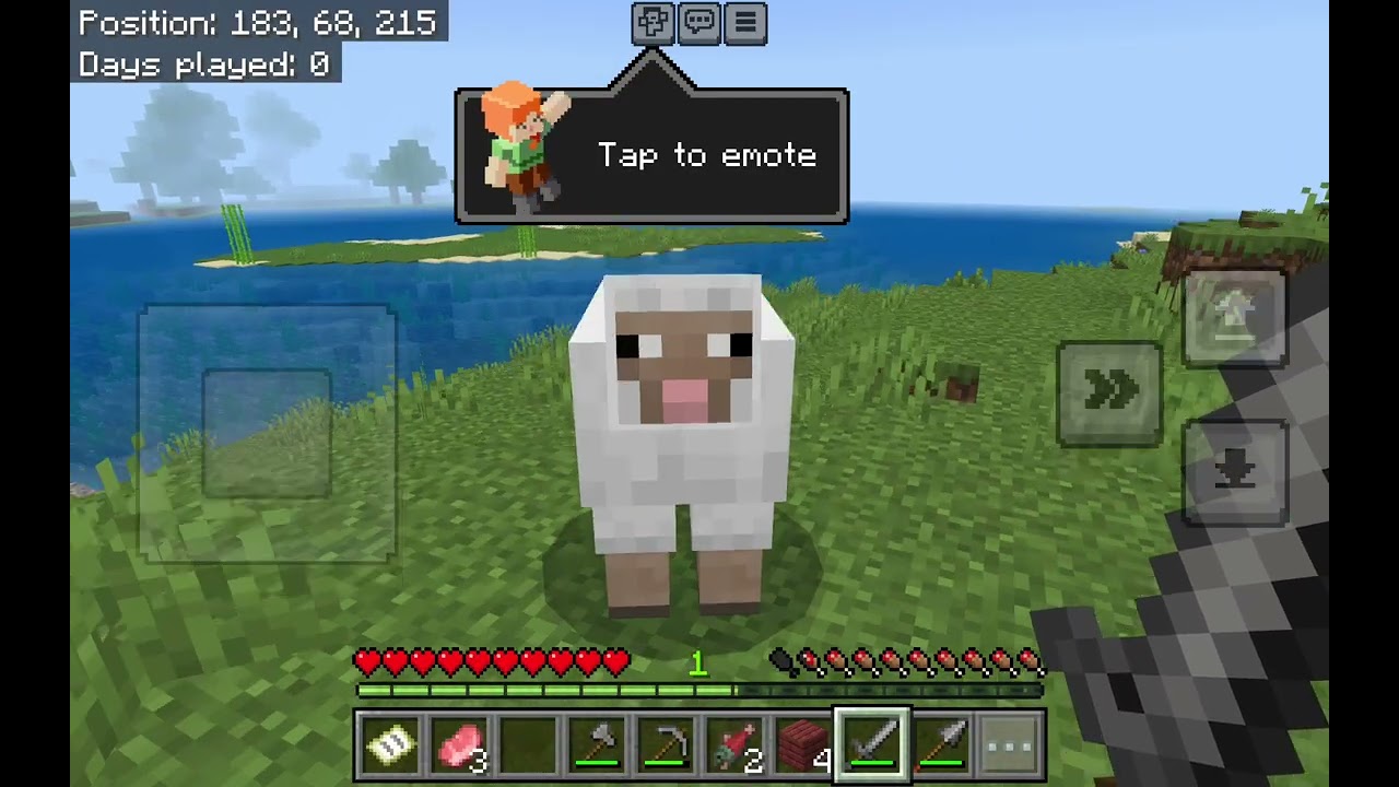 My new survival world in Minecraft!!