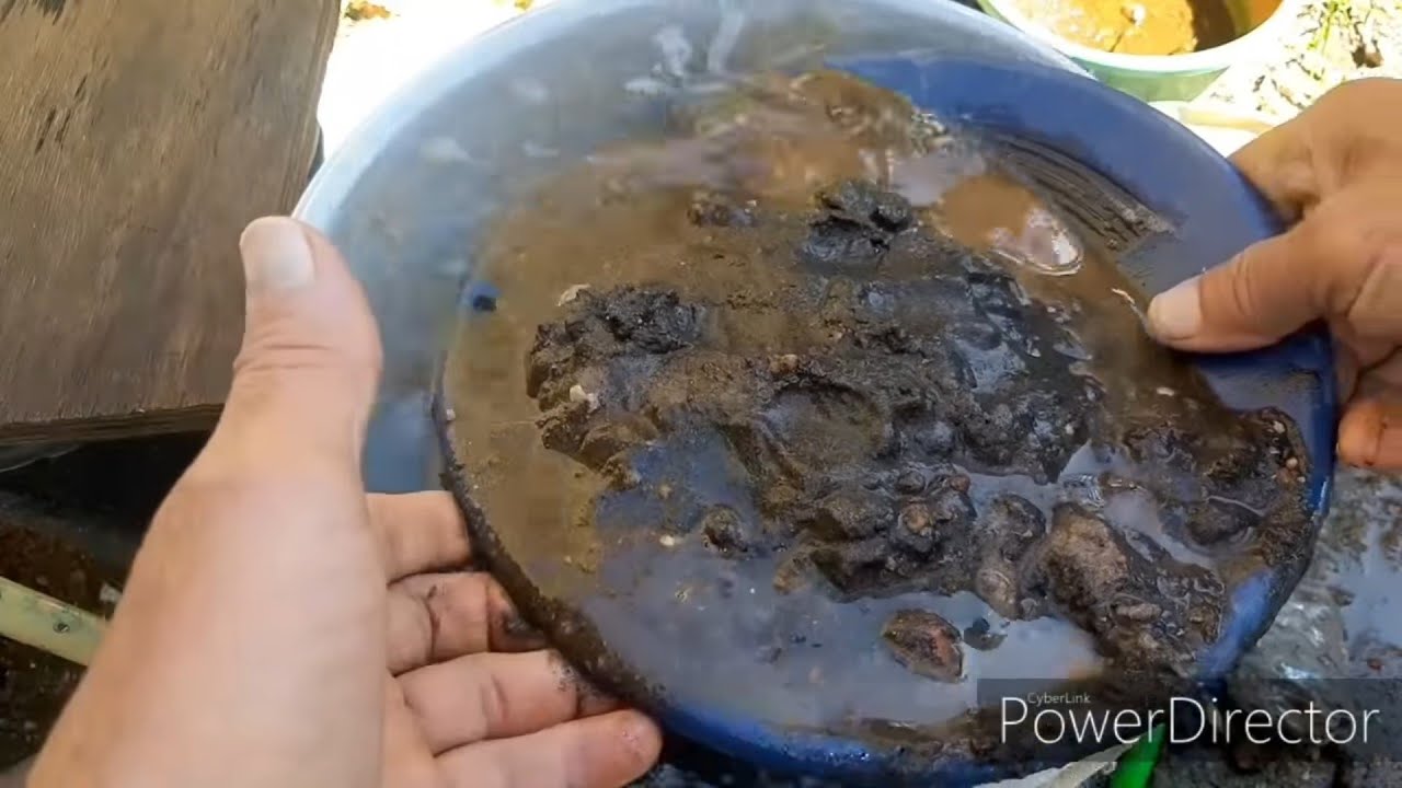 VEJA AS ROCHAS QUE JORRAM AREIA PRETA E OURO EM PÓ