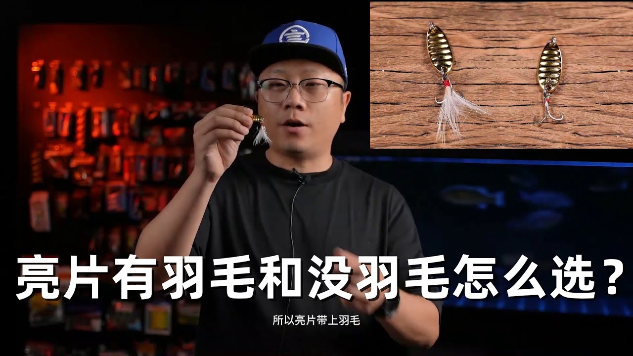第9集：【新手入门】亮片有羽毛和没羽毛怎么选？ #路亚 #路亚野钓 #路亚教学 #路亚饵 #路亚亮片