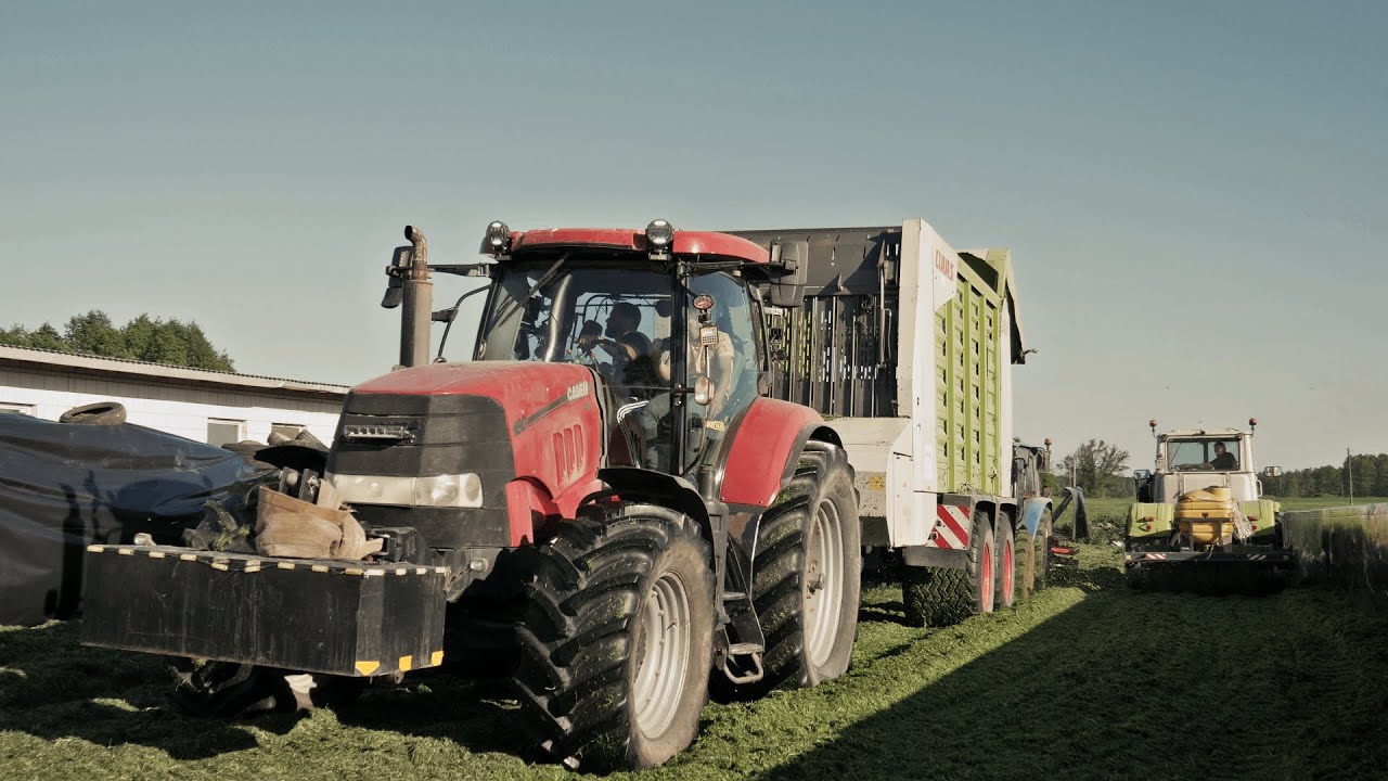 🚜🇵🇱 |4k|  Oporowy zbiór traw sieczkarnią  ★  🔥 |2024|  ✔GR Nocek & UR Zakrzewski✔ ★ 🌿