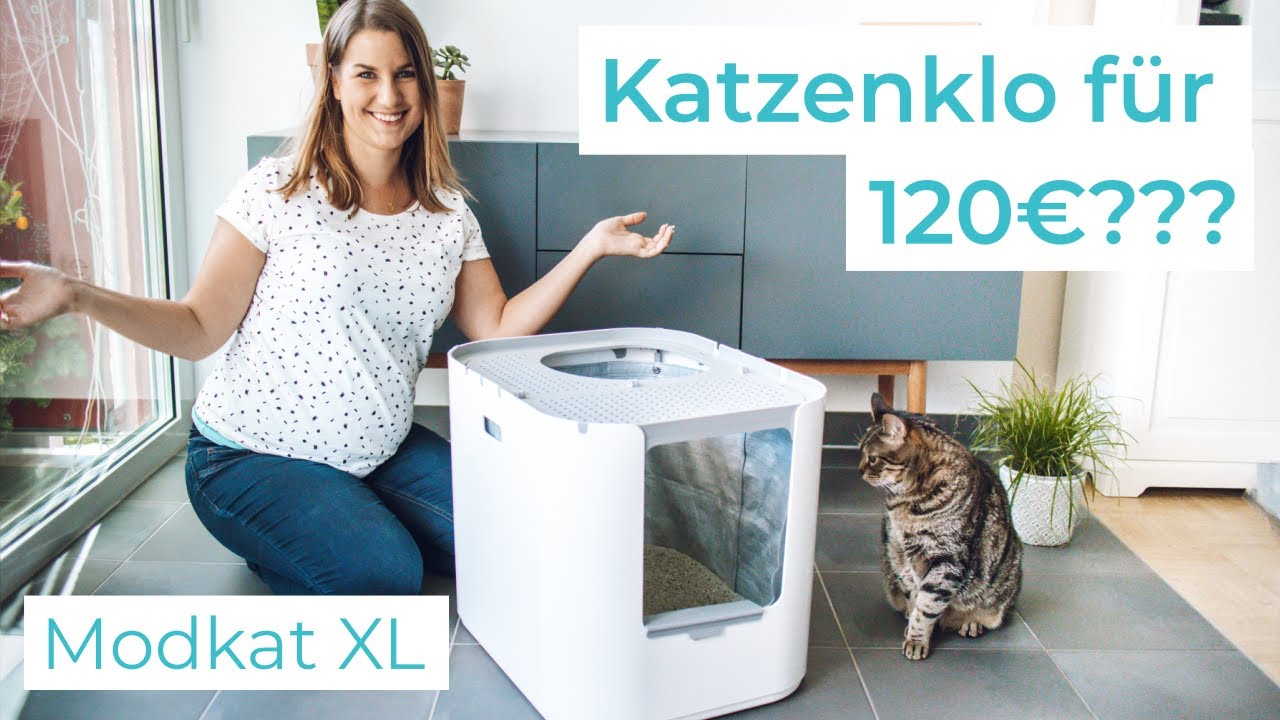Modkat XL Katzenklo - Review und 3-Monats-Test