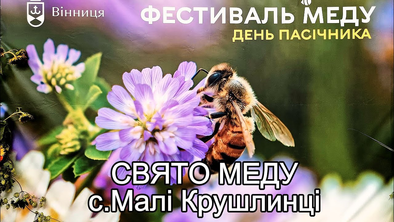 СВЯТО МЕДУ. Дивовижні села - Малі Крушлинці | Вінниччина | День Пасічника