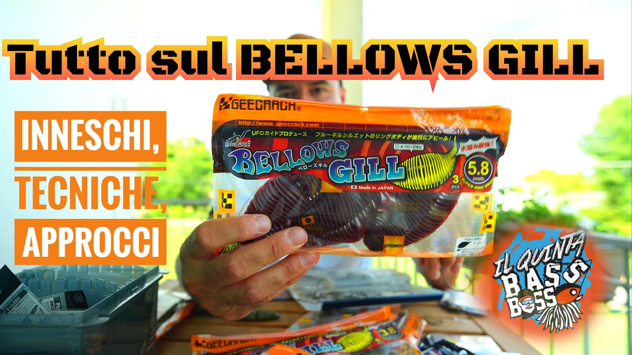 GEECRACK BELLOWS GILL come innescarlo