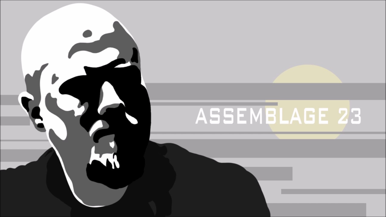 Assemblage 23 -  Don't Change