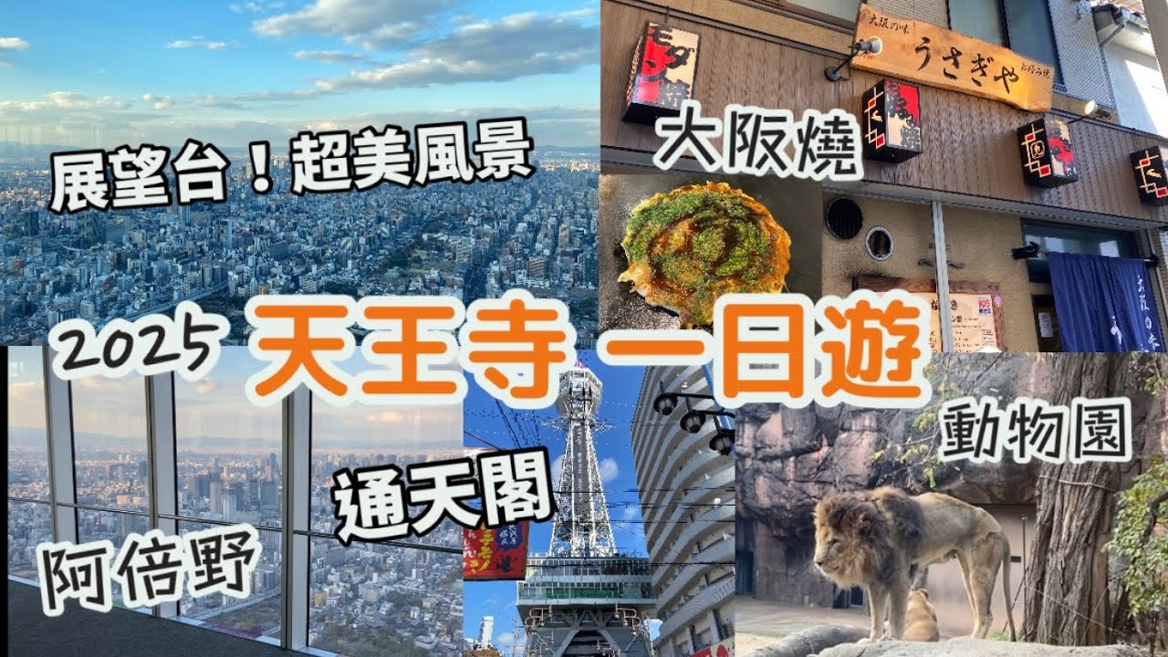 大阪關西遊2025 Vlog|通天閣、新世界うさぎや大阪燒|天王寺動物園，有咩動物睇？|阿倍野HARUKAS 300展望台，超美風景看日落|Q's Mall商場|大阪自由行|一日行程|日本旅遊必去景點