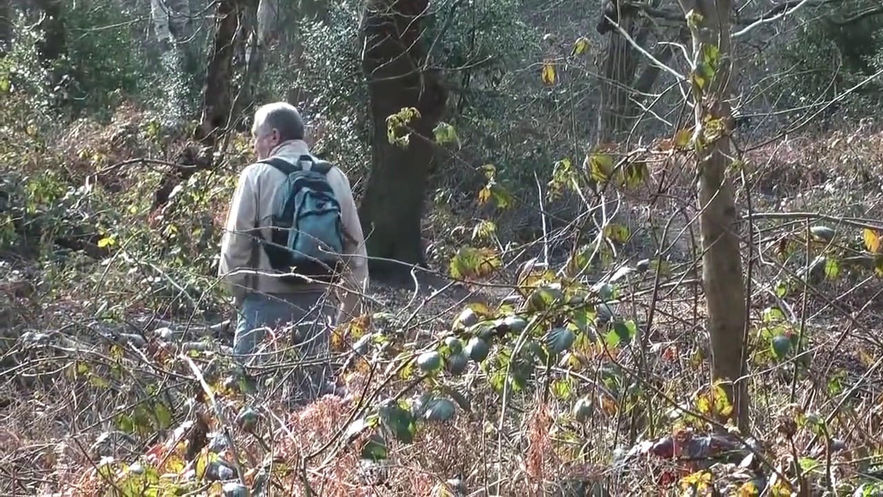 The Pursuit of a Gentleman, 2009 - 2012