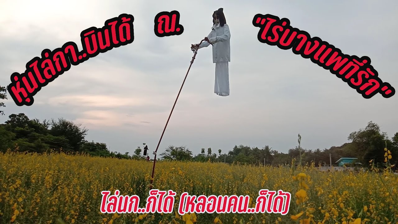scarecrow หุ่นไล่กาบินได้ 