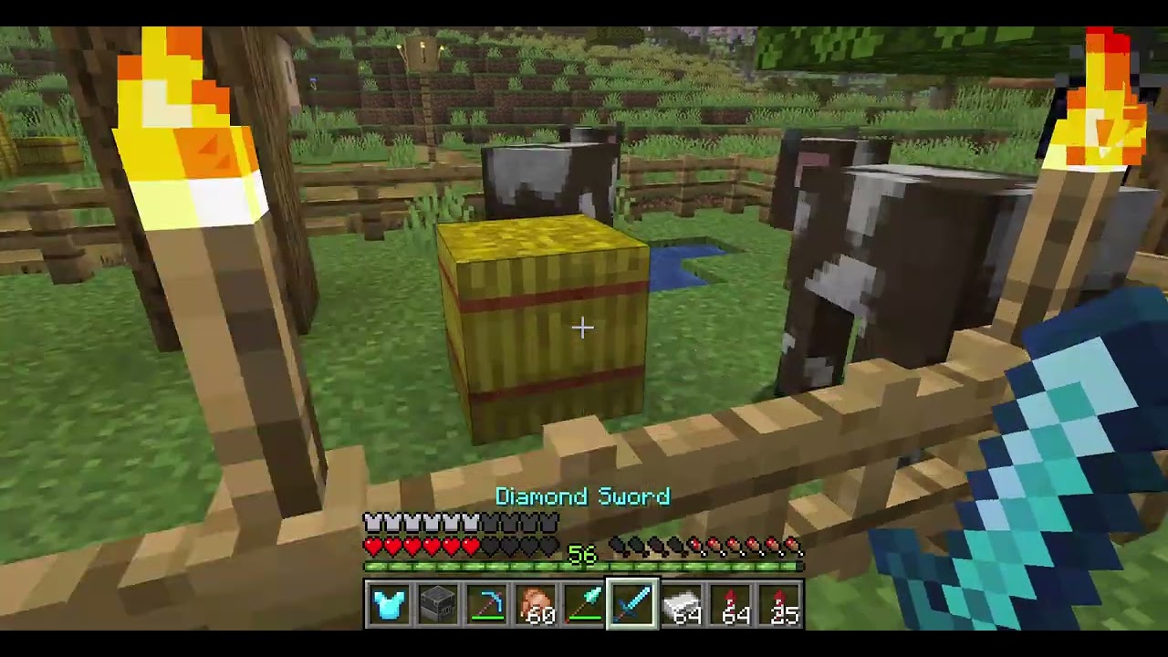I was AFK until i found crazy rare item in Minecraft survival