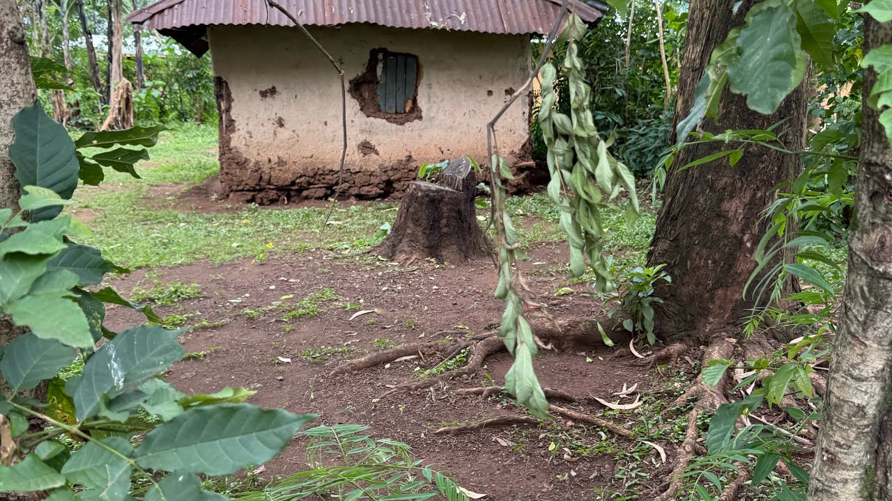 Visiting the beautiful lands of Khwisero Kakamega County