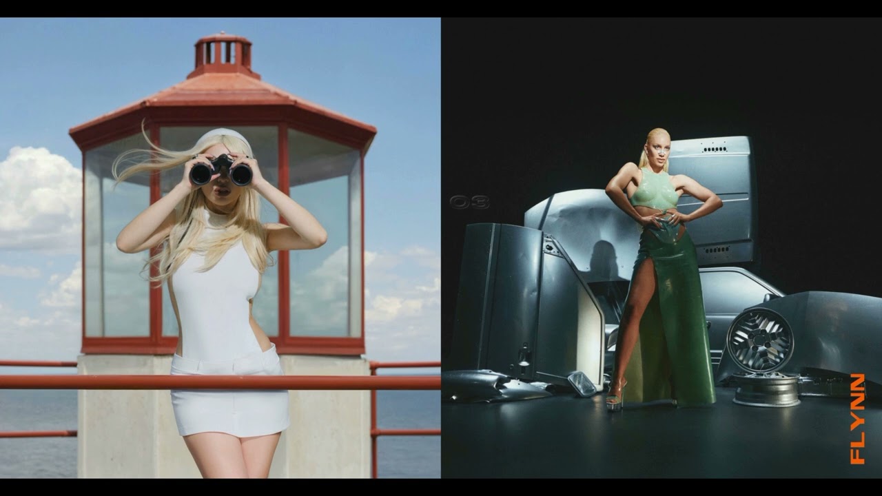 Ava Max, Agnes - Spot A Fake X EGO (Flynn Mashup)