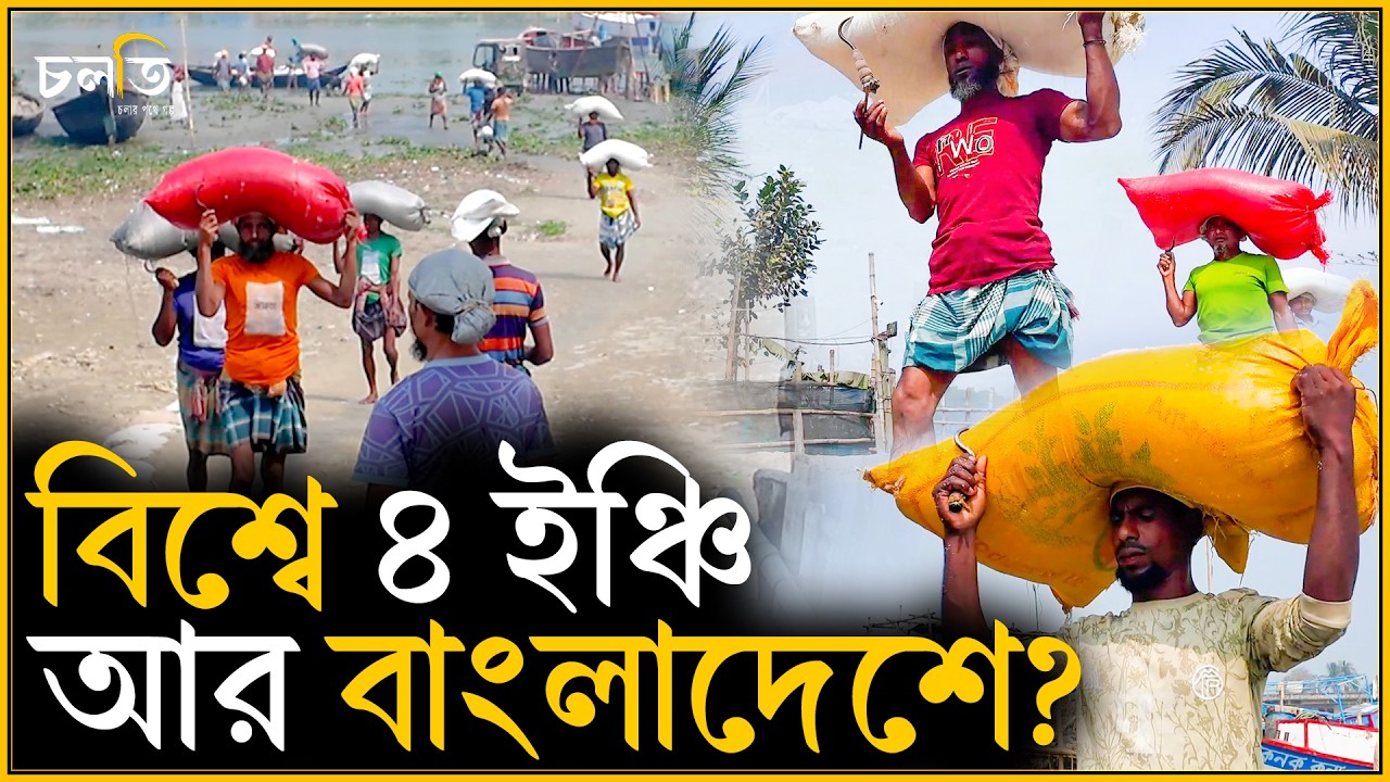 ৪ মাসে ৬০ হাজার ব্যাগ ভাতে মিশে! | চলতি