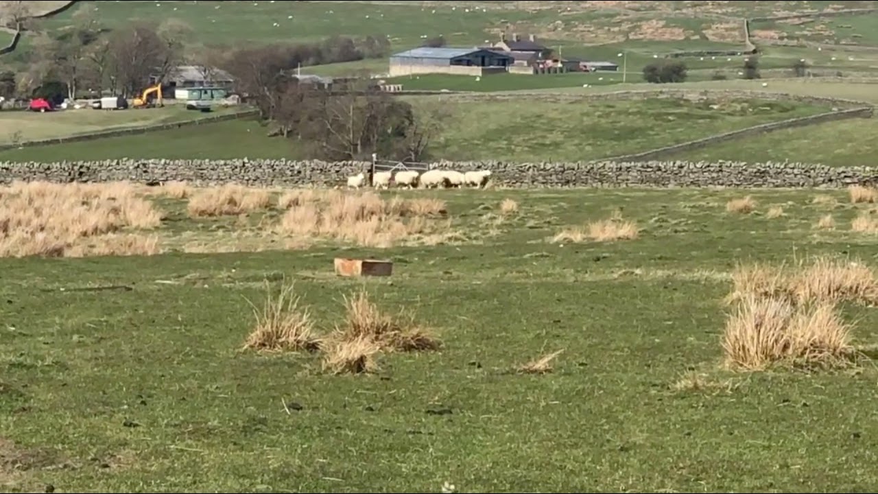 Burndale Ben