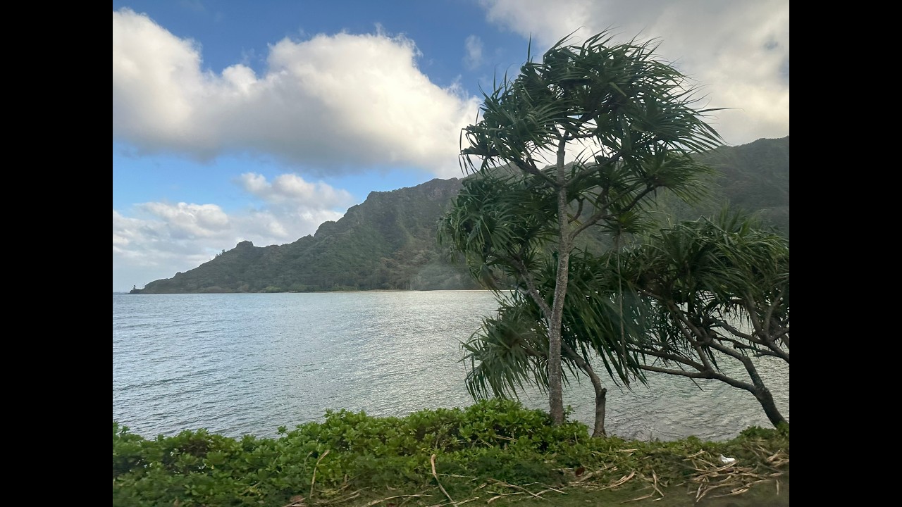 Hawaii Cruise 2026 Part 3