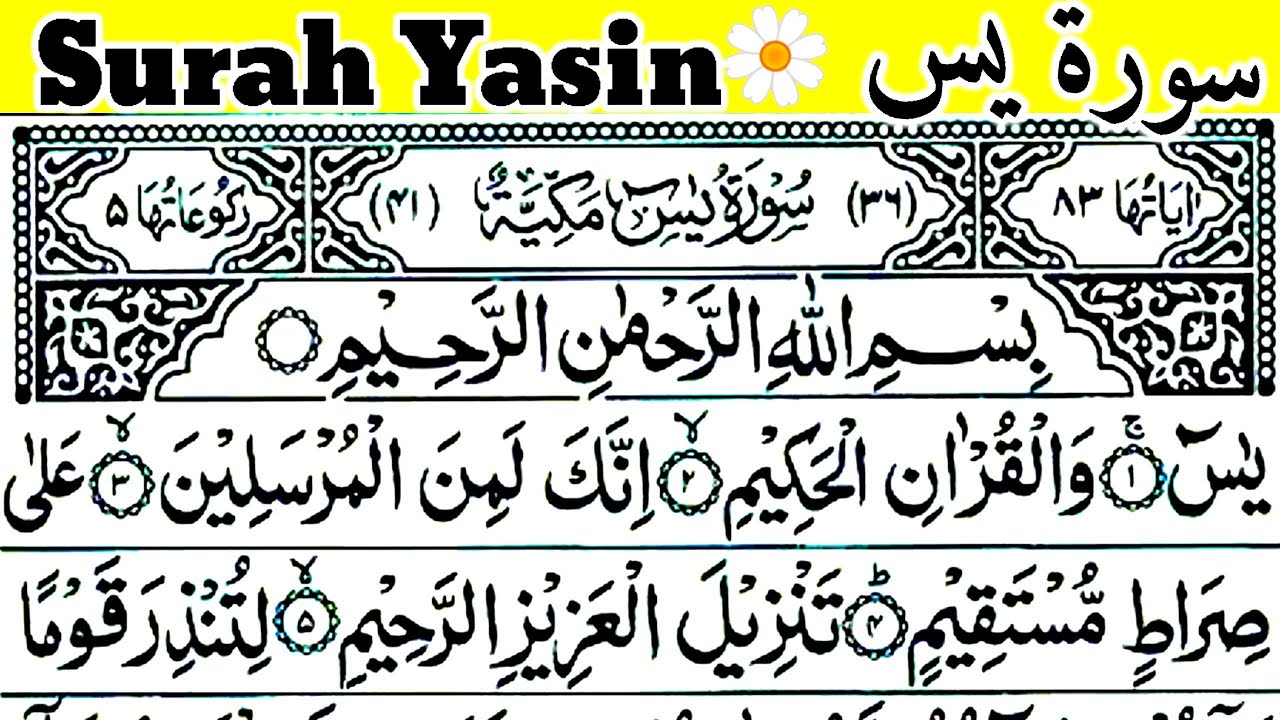 Surah Yasin Full | Yaseen | Daily quraan | Beautiful Recitation Surah Yasin Full | Daily tilawat