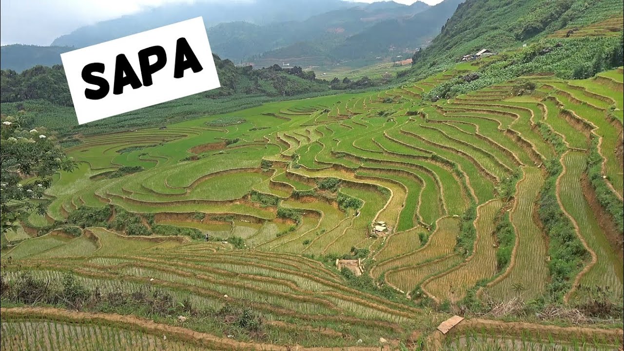 SAPA 4K a pie: Trekking entre los arrozales | 22# Vietnam
