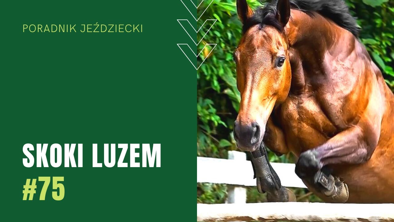 SKOKI LUZEM (Batalia i Proven) | Poradnik jeździecki #75