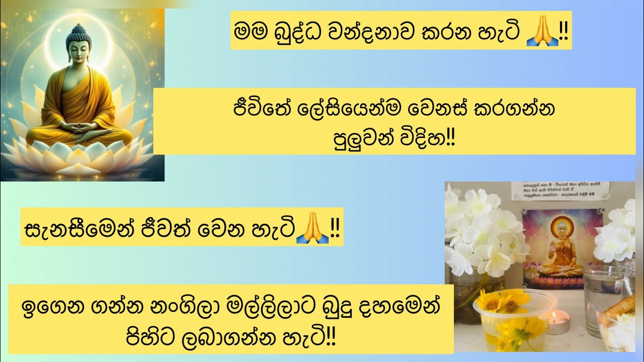 මානසික සුවය මන් ලබා ගන්න හැටි| ජීවත් වෙන්න ආසයි මෙහෙම හිතනකොටත්| වෙනස් වෙන්න ආස හැමෝම වෙනුවෙන්🌸🙏♥️
