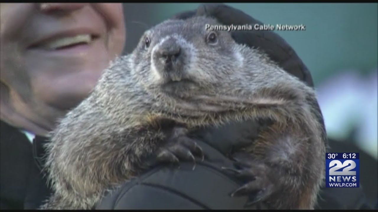 What is Groundhog Day, and why do we celebrate it?