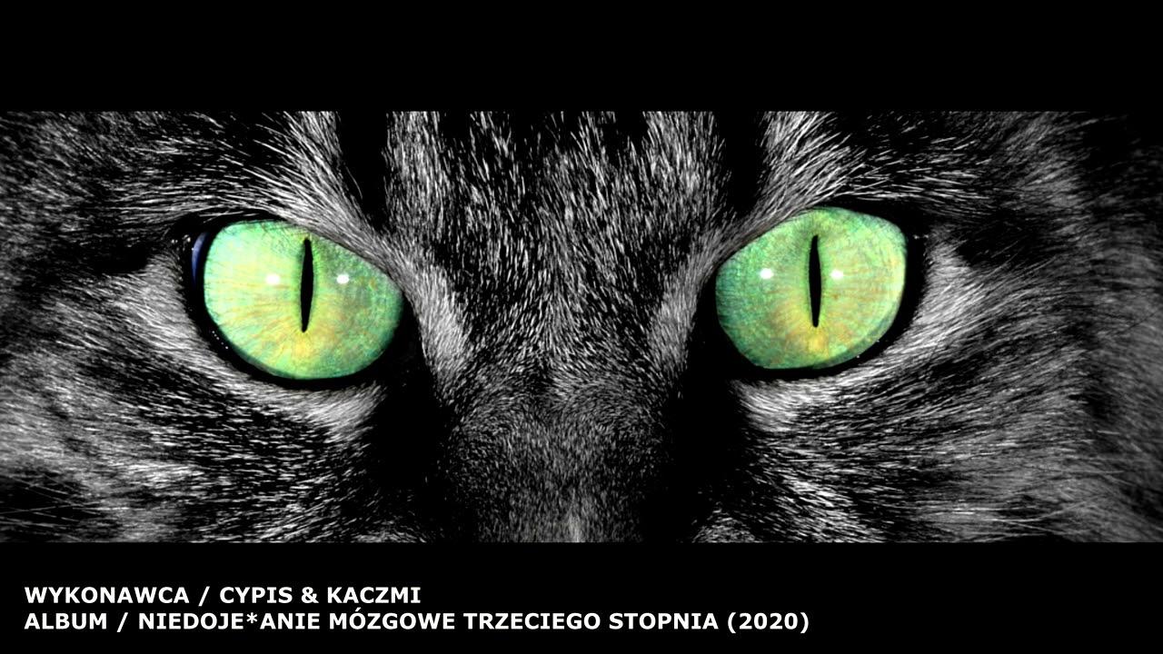 Cypis / Kaczmi - Szybszy od kota (Prod. Floras)