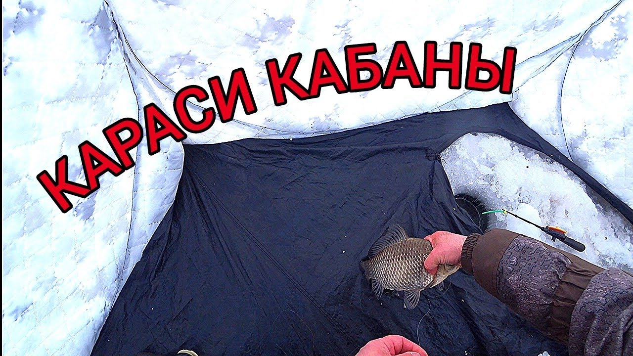Огромные караси клюют один за другим! Рыбалка мечты!