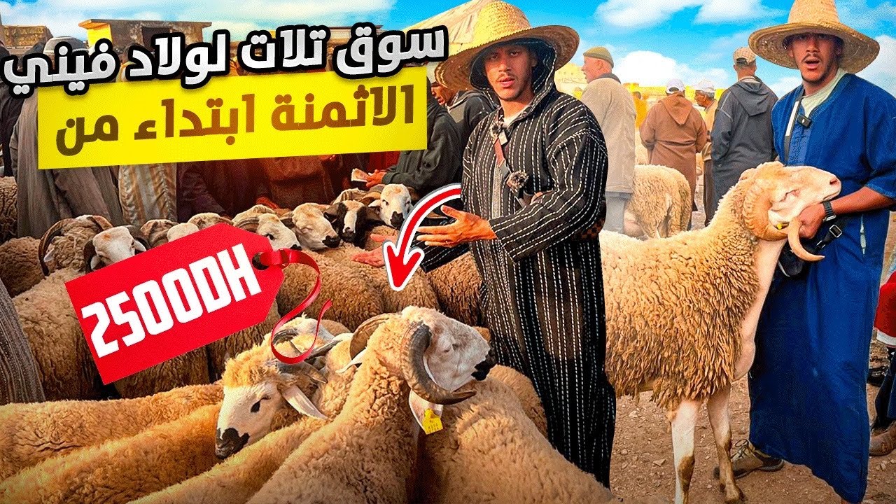 اليوم من سوق الدرويش ثلاثاء لولاد فيني  🇲🇦مع أثمنة حولي عيد الأضحى 🐑 بتاريخ 28/05/2024