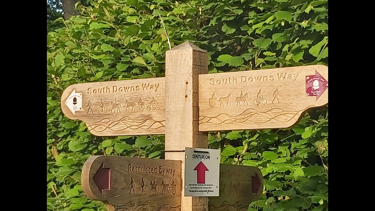 South Downs Way 100  (SDW100) 2021