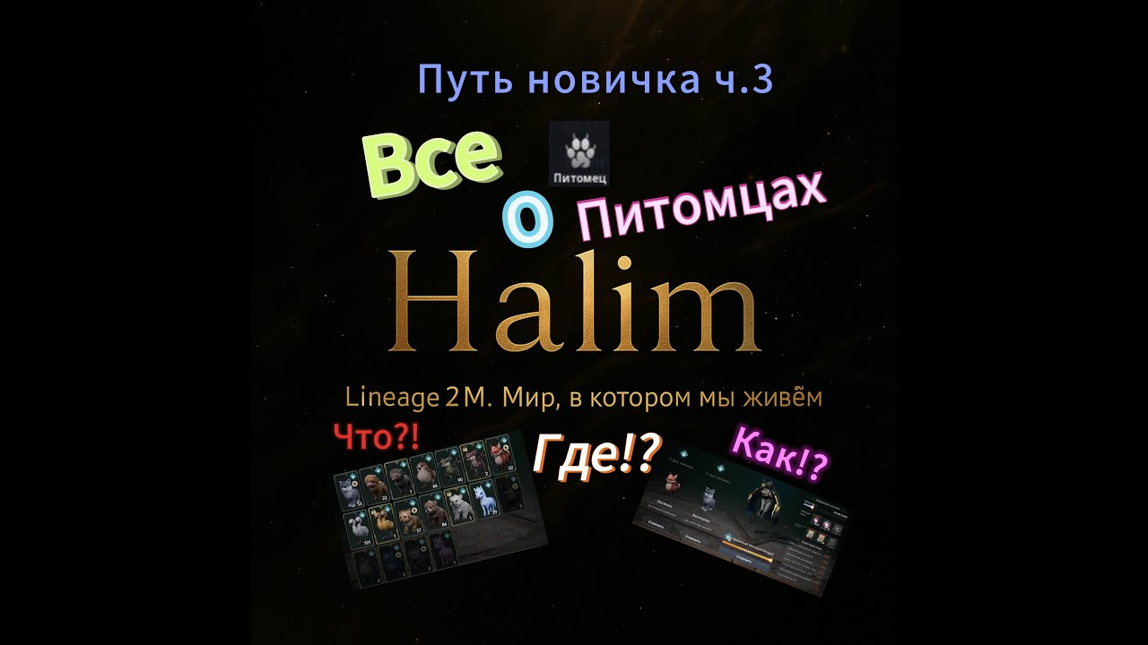 Lineage 2m | ПУТЬ НОВИЧКА Ч.3,✅ ВСЕ ЧТО ЗНАЮ О ПТОМЦАХ,😇ГАЙД, СОВЕТЫ. #l2m #l2community #mmorpg