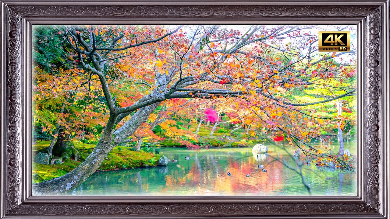 Arashiyama - Autumn season along river - Kyoto Japan, 4K 1hour