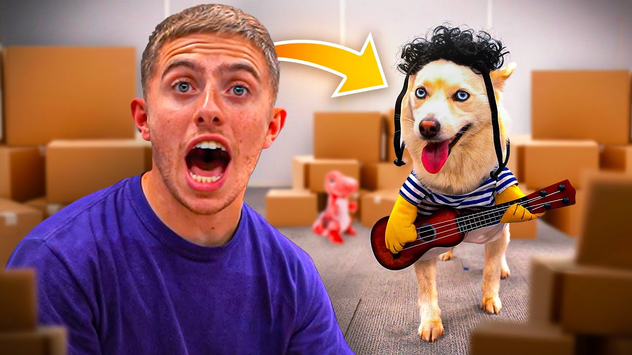 JE TESTE DES OBJETS IMPROBABLES POUR CHIEN AVEC YUKI ! (on a fait n'importe quoi mdrrr)