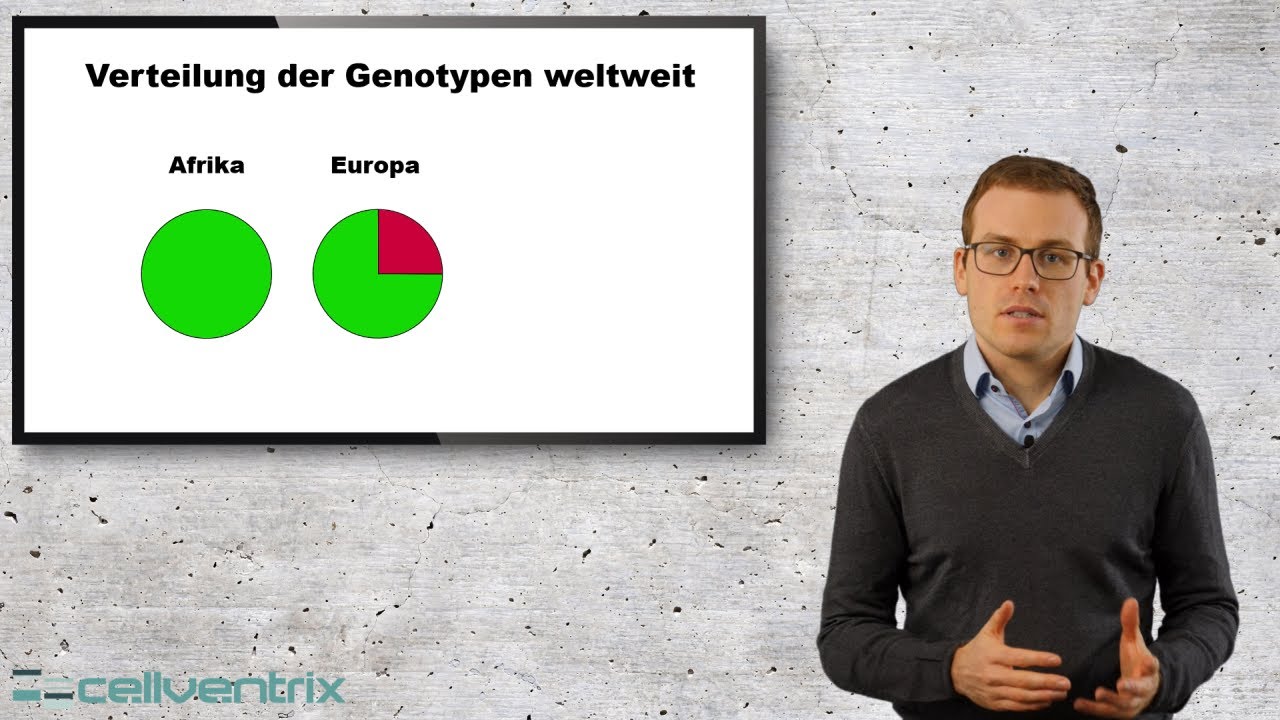 Die Funktion eines Omega 3-Gentests einfach erkl&auml;rt