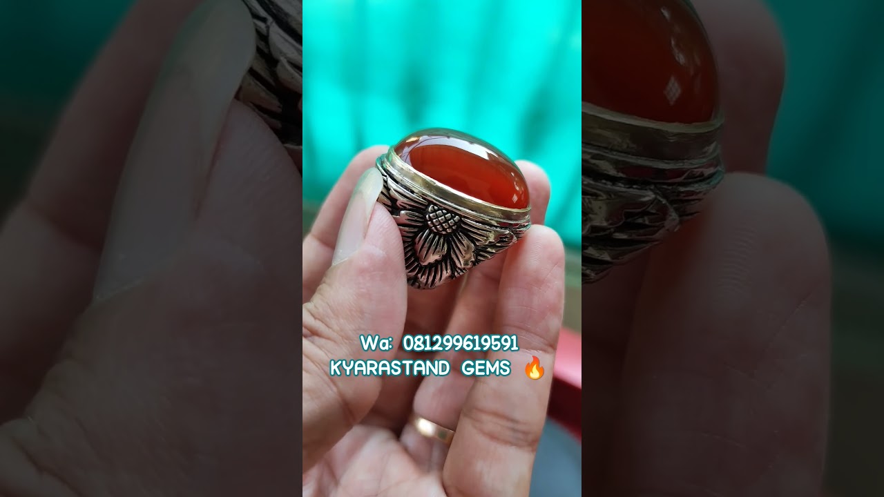 KEREN BACAN OBI MERAH DIM JUMBO TANPA PENYAKIT WARNA NATURAL 1000% ❗ #kyarastandgems #bacanbekasi