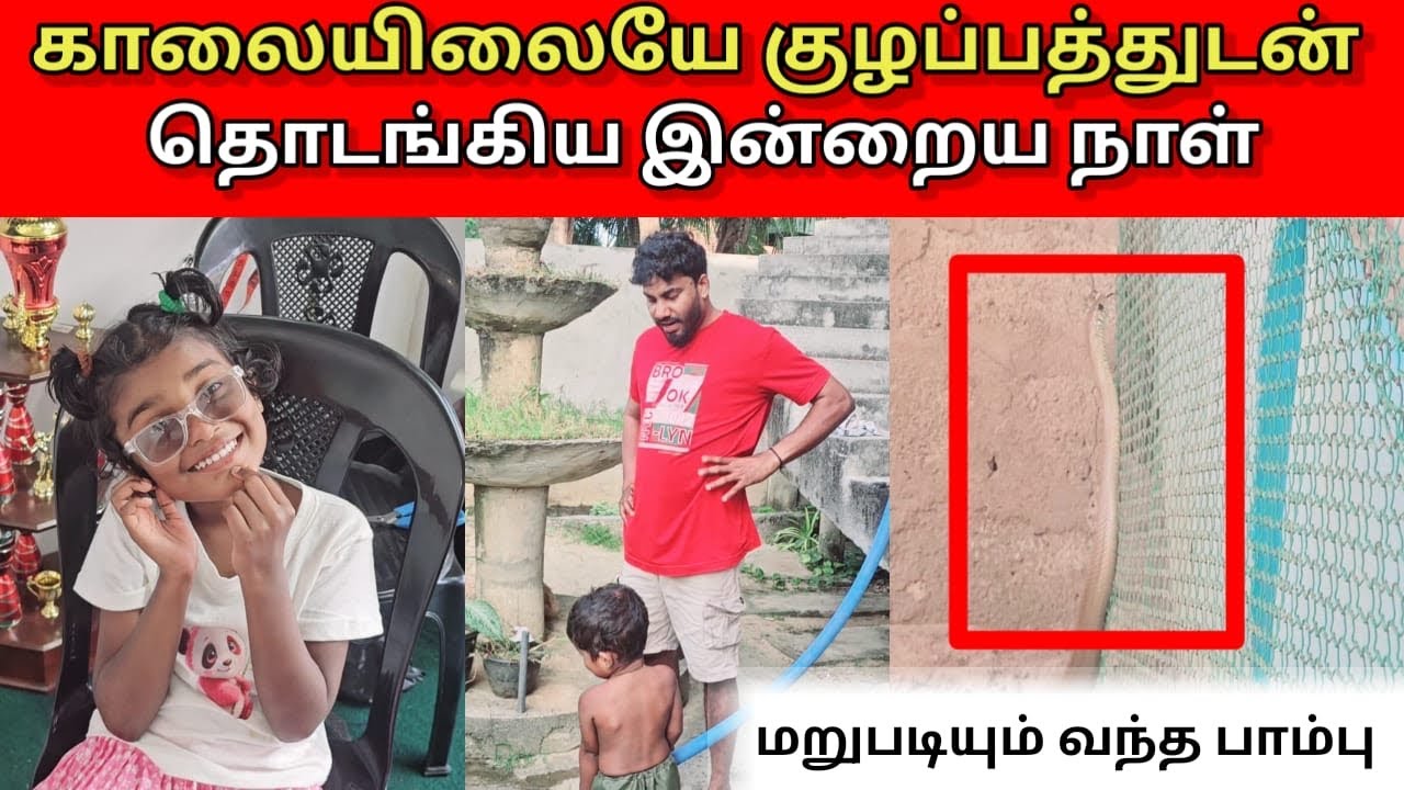 காலையிலையே குழப்பத்துடன் தொடங்கிய இன்றைய நாள்..? 🤔 | Vlog | ANU WITH VASANTH 
