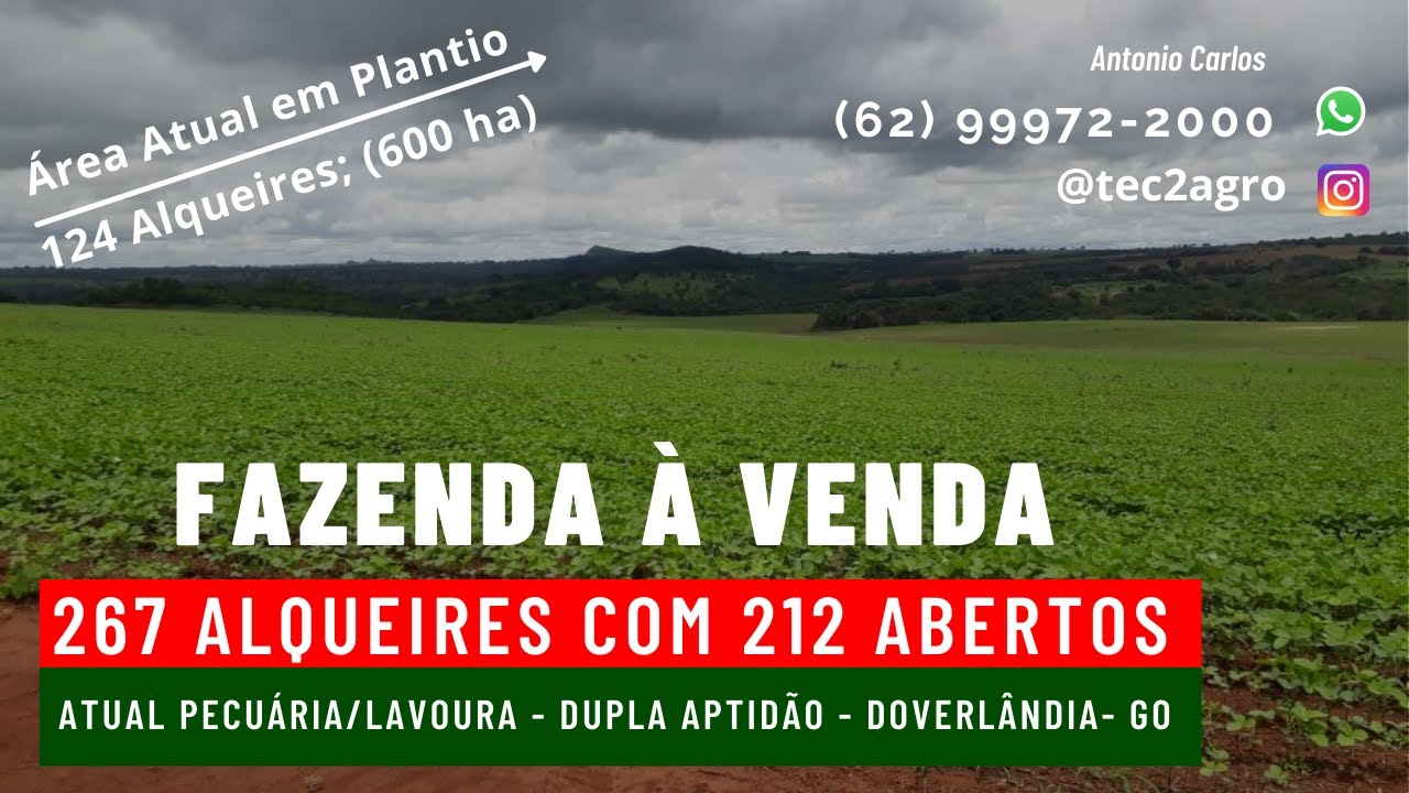 [🐄 GADO E SOJA 🌱] Fazenda a venda em goias 267 Al Doverlândia GO[🌱Soja e Gado] #vendadefazenda