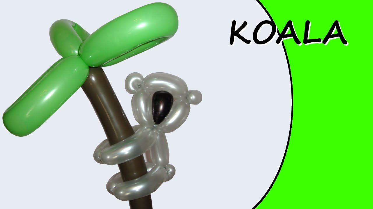 Palloncino modellabile - Koala - Sculture di palloncini @Tronton