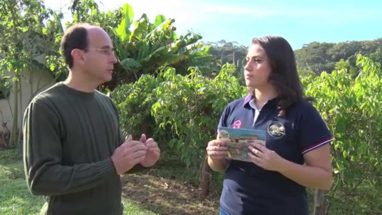 Como realizar a indução das toras inoculadas de Shiitake