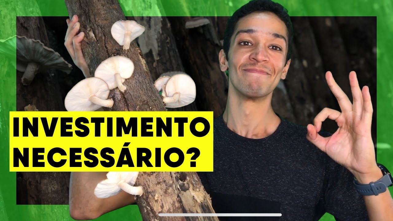 QUAL O INVESTIMENTO NECESSÁRIO DO CULTIVO DE SHITAKE EM TORAS DE EUCALIPTO? QUANTO DINHEIRO GASTAR?