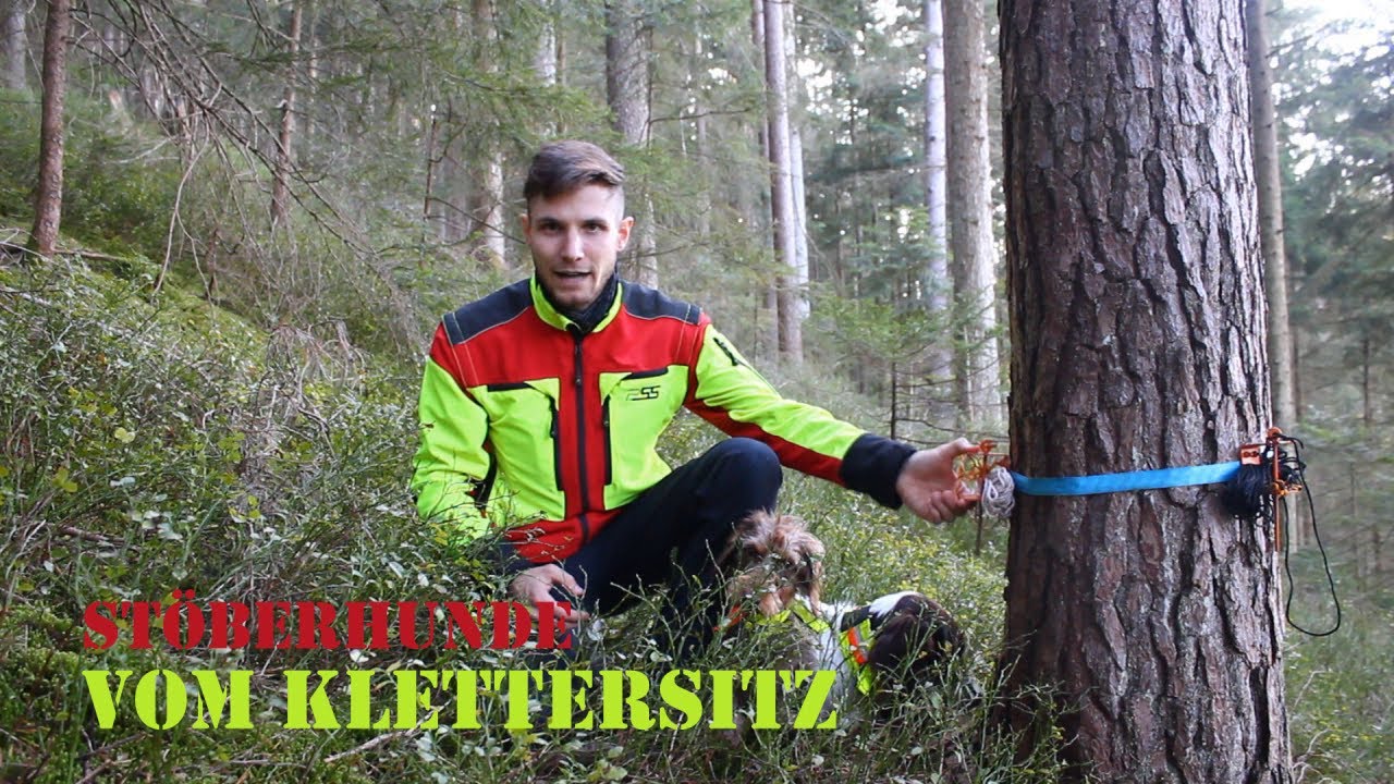 St&ouml;berhunde vom KLETTERSITZ - der SCHNALLOMAT