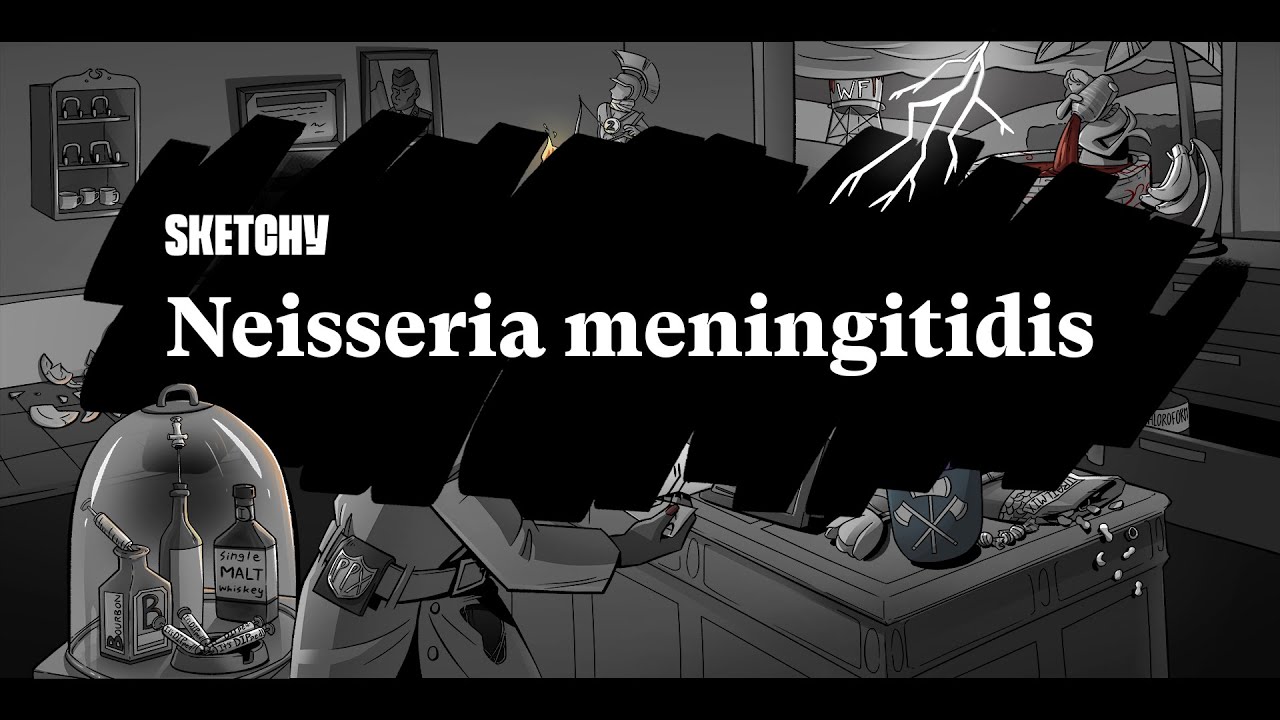 Neisseria Meningitidis: Meningitis Causes & Prevention (Part 1) | Sketchy Medical | USMLE Step 1