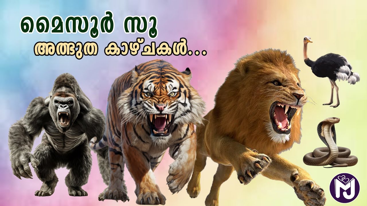 മൈസൂരിലെ അത്ഭുത മൃഗശാല | Mysore Zoo |  Sri Chamarajendra Zoological Gardens |Tourist place in Mysore