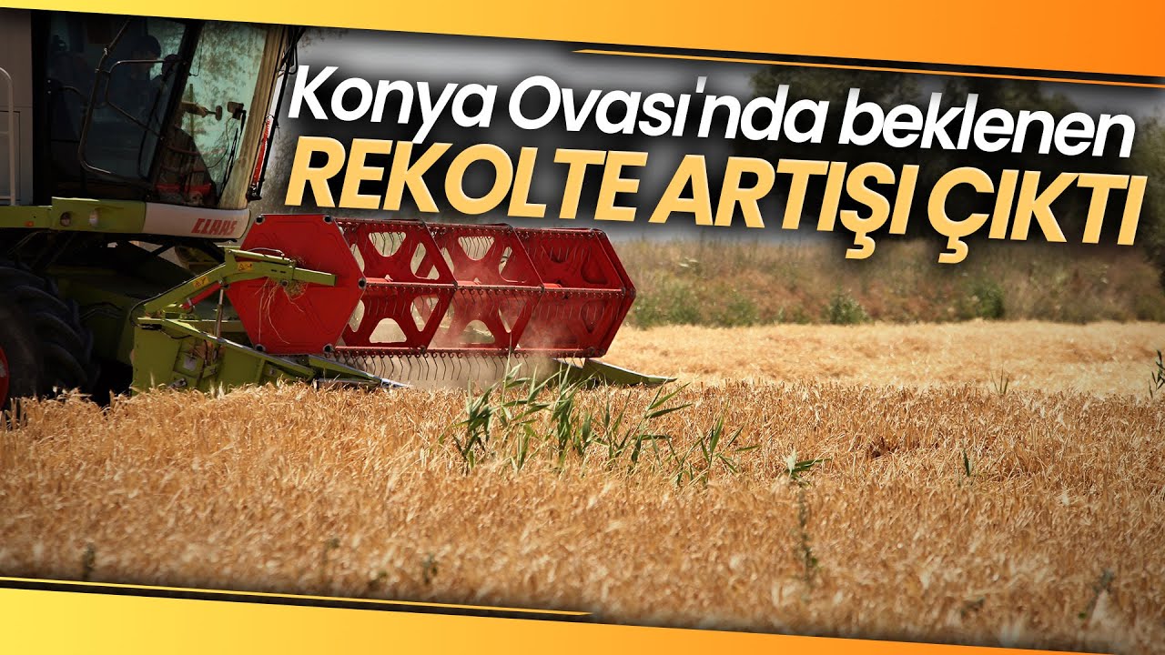 Tahıl Ambarı Konya Ovası'nda Beklenen Rekolte Artışı Çıktı